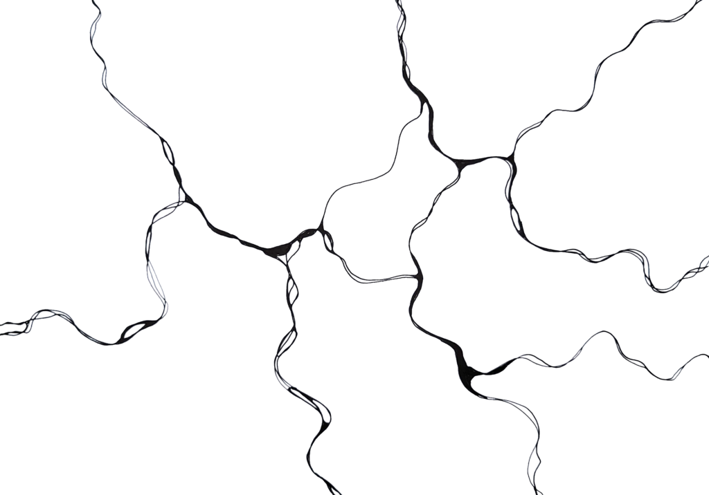 2 3 hintergrund ng transparent schwlinie 2 3 hintergrund ng transparent schwlinie